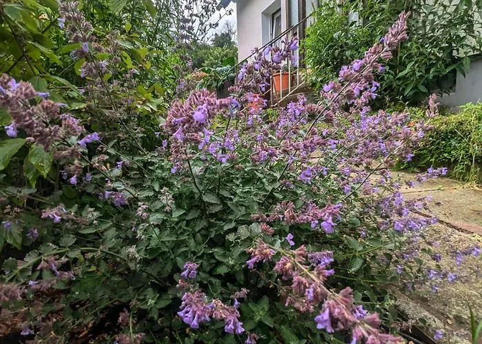 Fewo Am Lewerberg